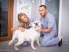 Cabinetul veterinar Dr. Virtosu Dan