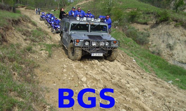 BGS