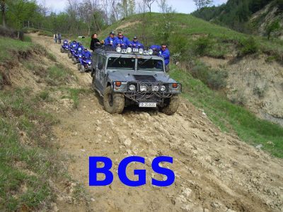 BGS