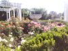 Parcul Rozelor