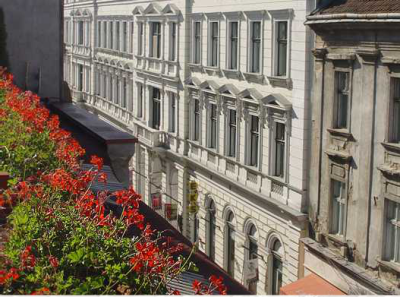 Casa cu Flori