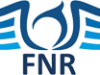 Fonduri nerambursabile Romanesti