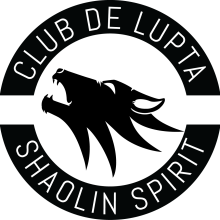 Shaolin Spirit Timisoara