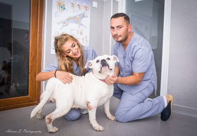 Cabinetul veterinar Dr. Virtosu Dan