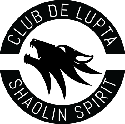 Shaolin Spirit Timisoara