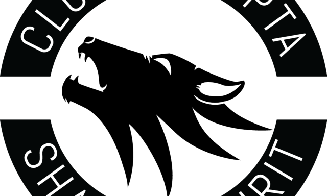 Shaolin Spirit Timisoara