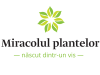 Miracolul Plantelor – Unirii