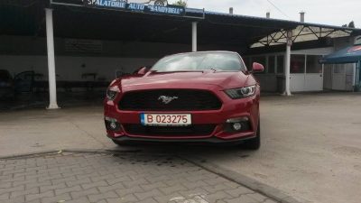 Spalatorie si curatatorie auto Sandybell