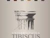 Universitatea ”Tibiscus,, din Timisoara