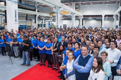 Valley Translations – birou de traduceri autorizate